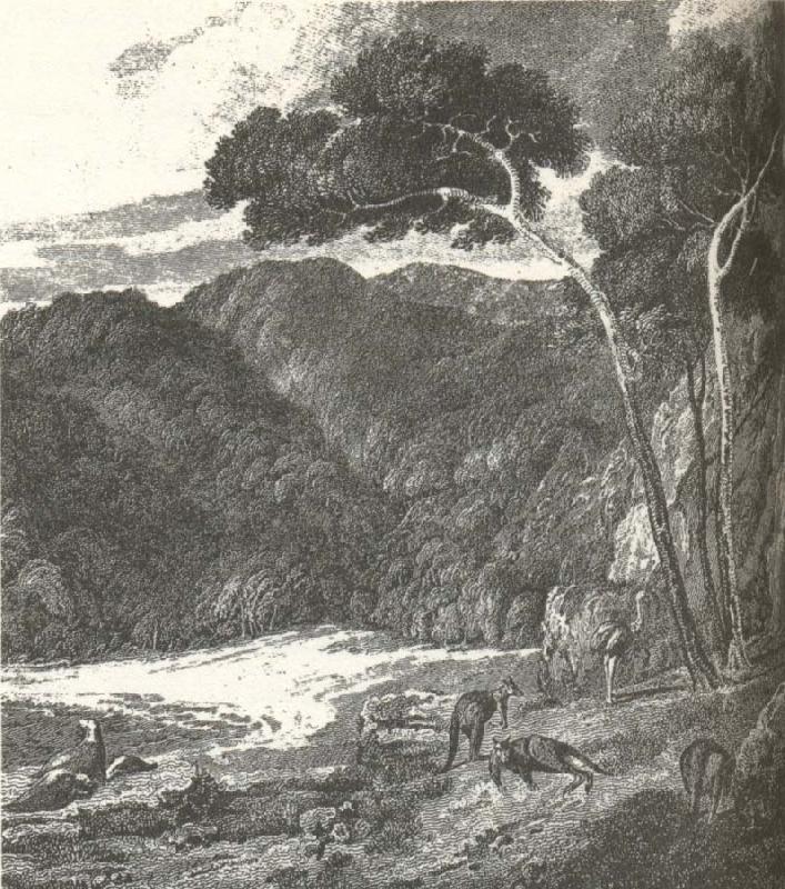 william r clark ar 1802 tecknade den engelsks sjomannen matthew flinders denna lummiga och rofyllda scen fran kanguruon soder omadelaide vilken stari stark kontrast t oil painting image